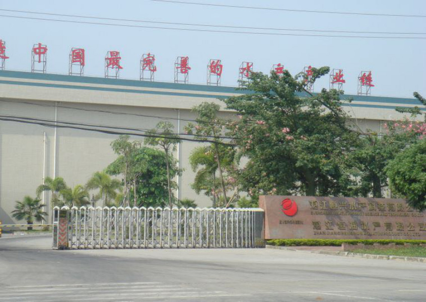 广东省湛江市公司