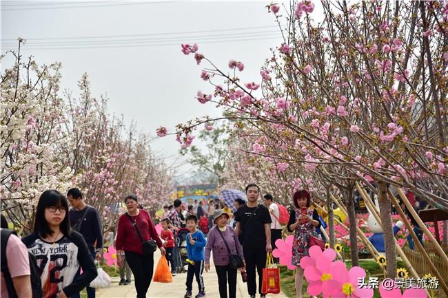 广东万花有限公司